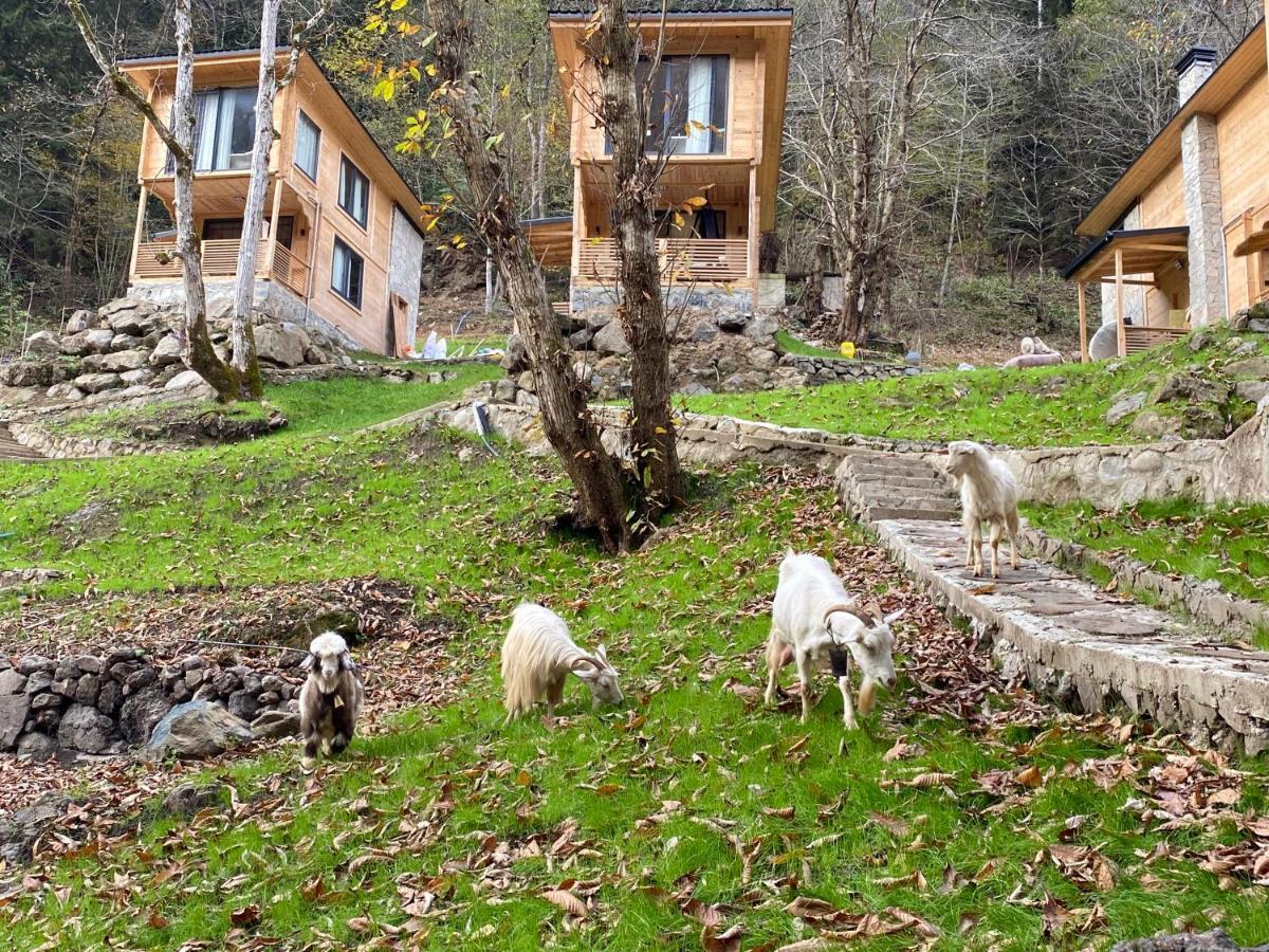Berona Chalet